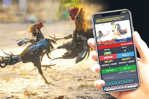 Judi Sabung Ayam Online